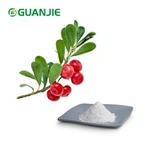 Pura polvere di arbutina alfa