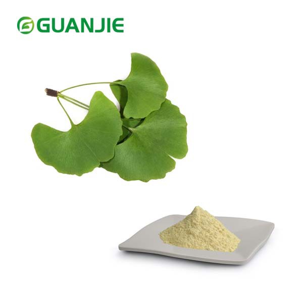 Polvere di estratto di foglie di Ginkgo Biloba