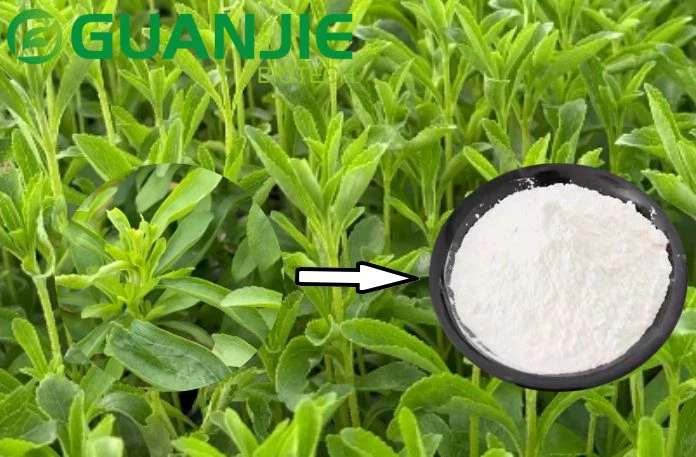 100 stevia extract 100 stevia extract