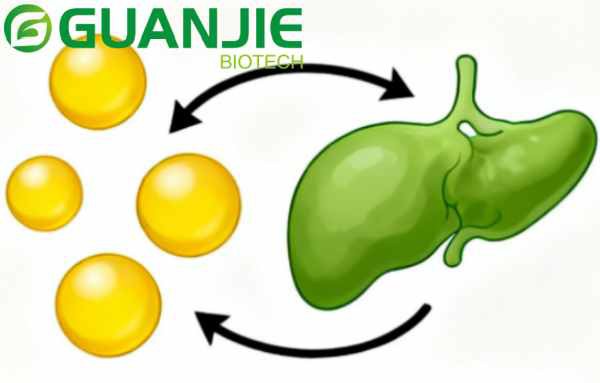 What Foods Have Ursodeoxycholic Acid What Foods Have Ursodeoxycholic Acid